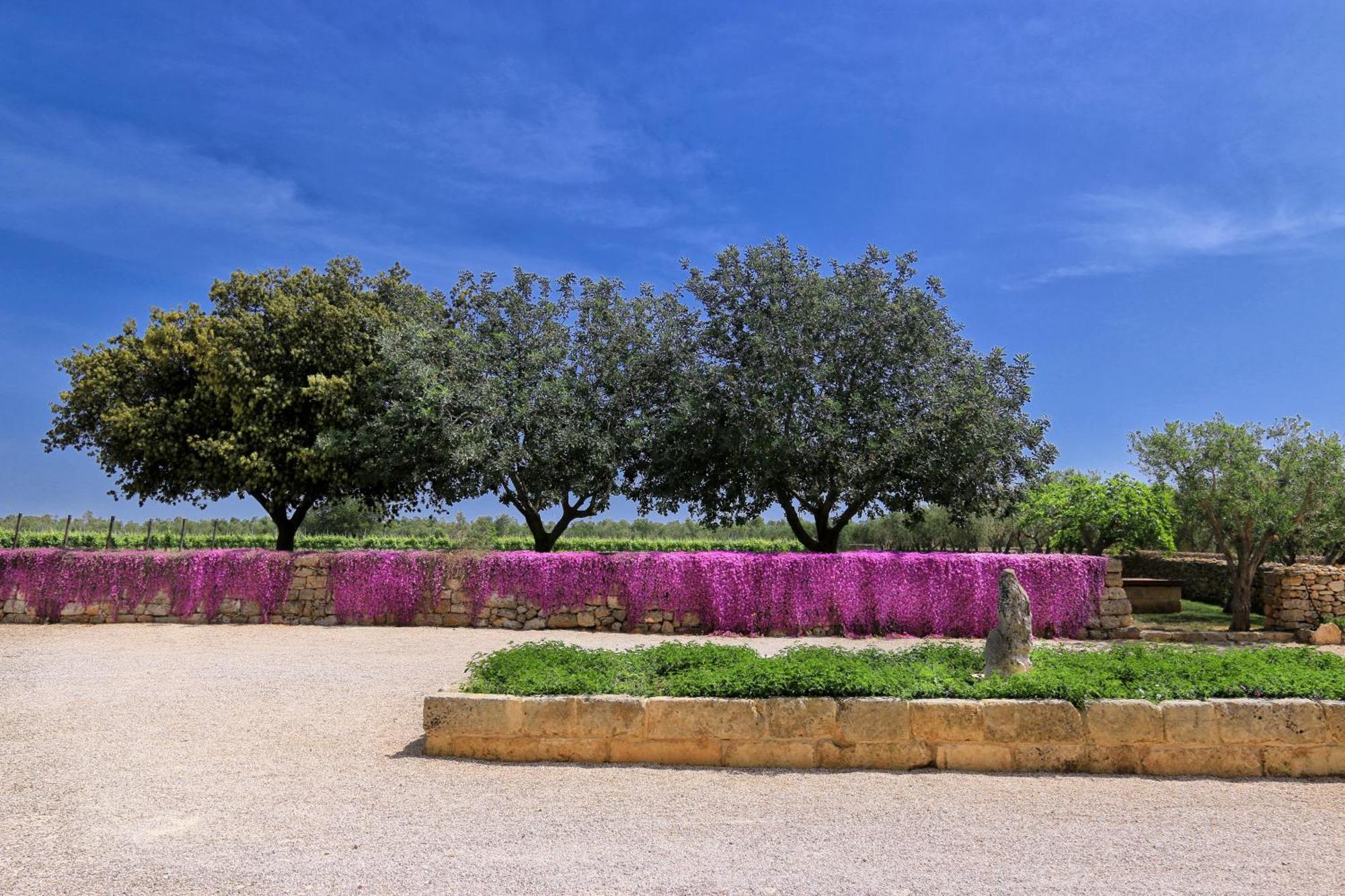 Masseria Fano Relais & Wine Salve Exterior foto